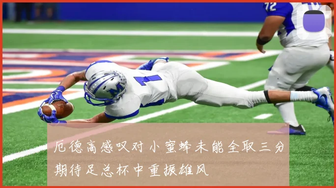 厄德高感叹对小蜜蜂未能全取三分期待足总杯中重振雄风