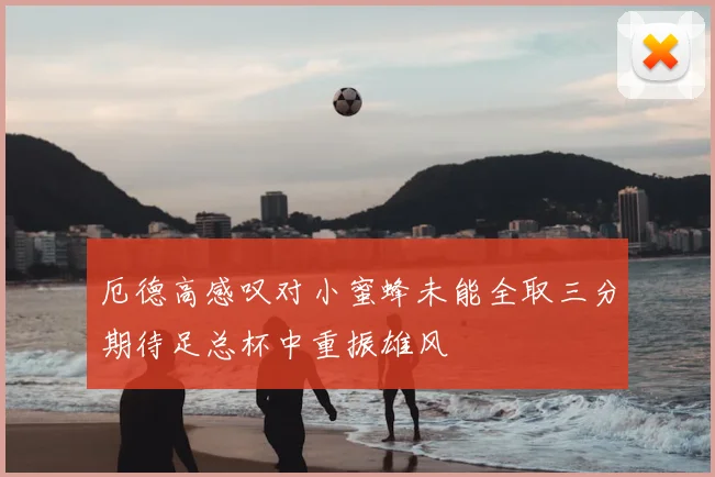 厄德高感叹对小蜜蜂未能全取三分期待足总杯中重振雄风
