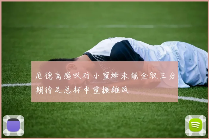 厄德高感叹对小蜜蜂未能全取三分期待足总杯中重振雄风