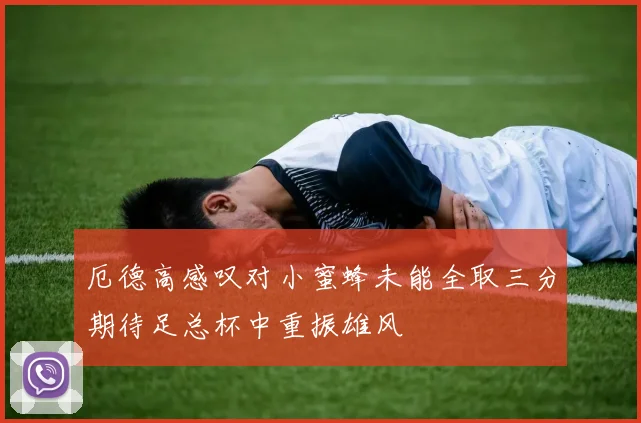 厄德高感叹对小蜜蜂未能全取三分期待足总杯中重振雄风