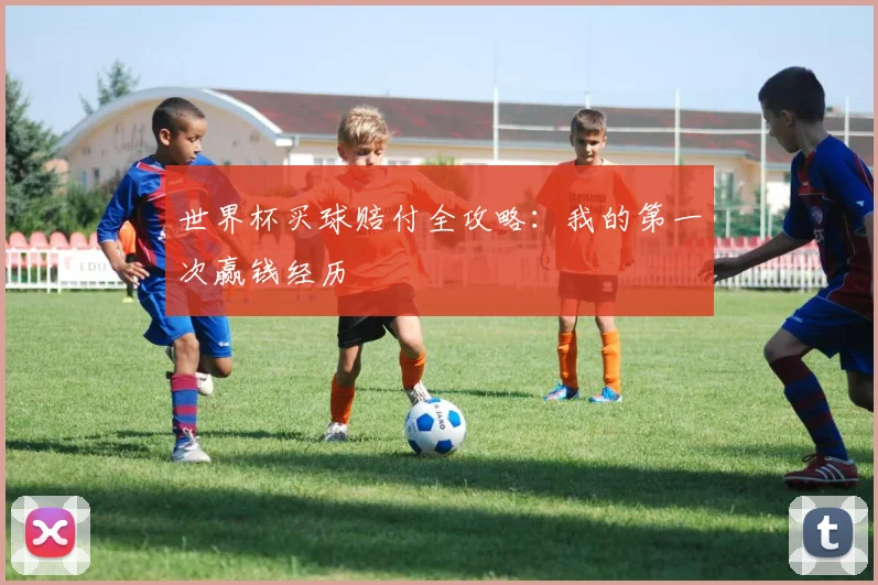世界杯买球赔付全攻略:我的第一次赢钱经历