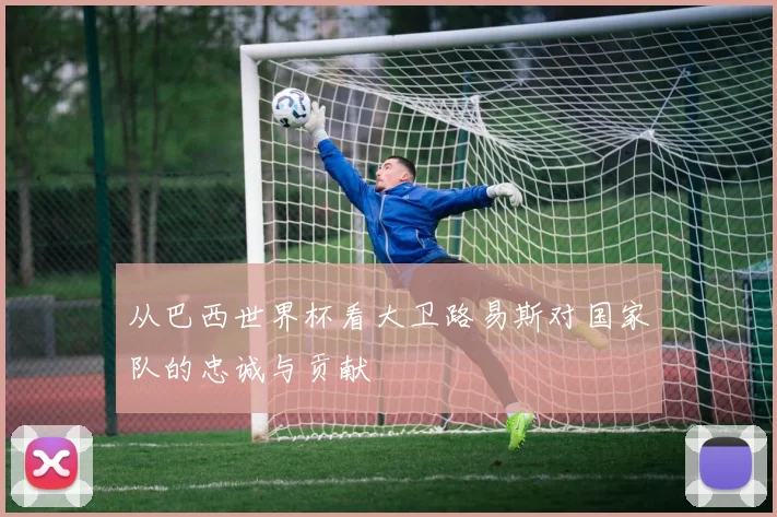 从巴西世界杯看大卫路易斯对国家队的忠诚与贡献