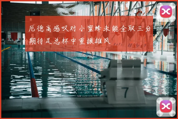 厄德高感叹对小蜜蜂未能全取三分期待足总杯中重振雄风