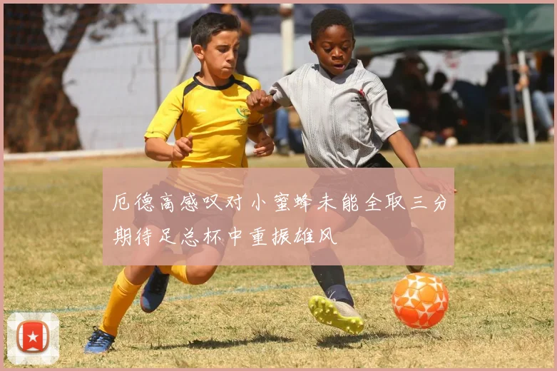 厄德高感叹对小蜜蜂未能全取三分期待足总杯中重振雄风