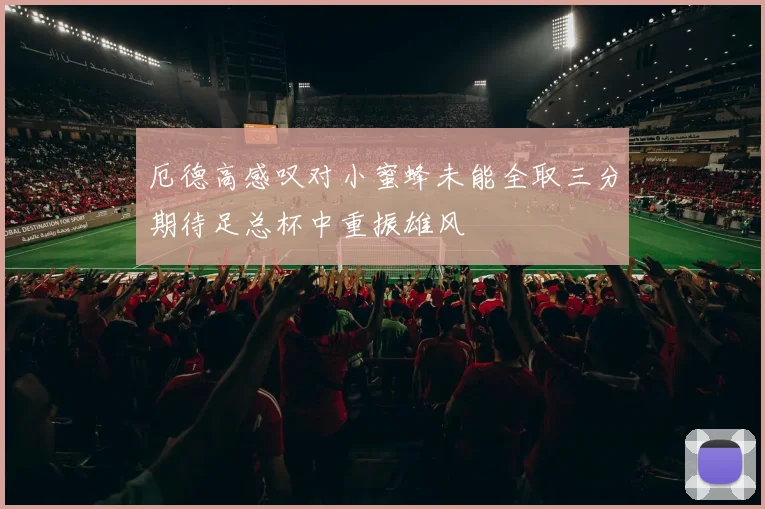 厄德高感叹对小蜜蜂未能全取三分期待足总杯中重振雄风