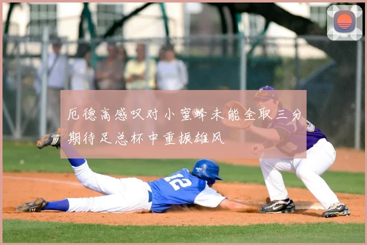 厄德高感叹对小蜜蜂未能全取三分期待足总杯中重振雄风