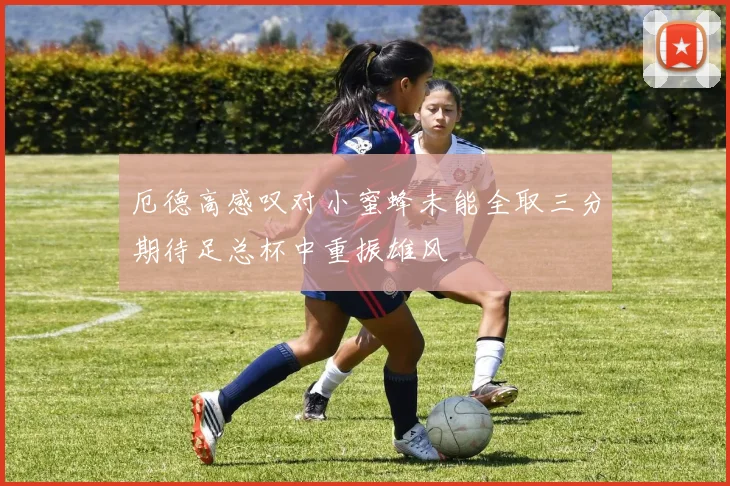 厄德高感叹对小蜜蜂未能全取三分期待足总杯中重振雄风