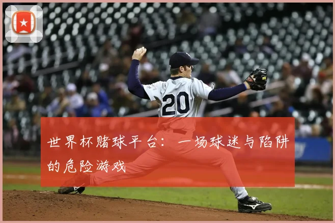 世界杯赌球平台：一场球迷与陷阱的危险游戏