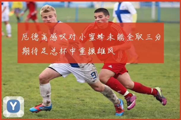 厄德高感叹对小蜜蜂未能全取三分期待足总杯中重振雄风