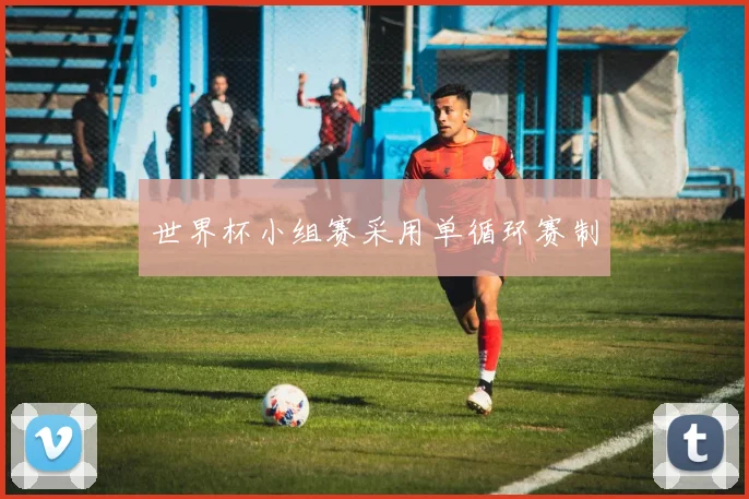 世界杯小组赛采用单循环赛制