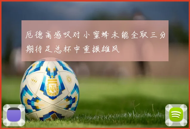 厄德高感叹对小蜜蜂未能全取三分期待足总杯中重振雄风