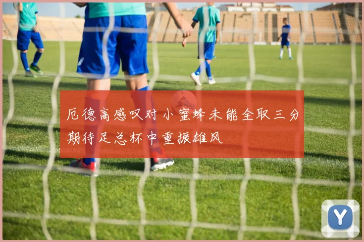 厄德高感叹对小蜜蜂未能全取三分期待足总杯中重振雄风