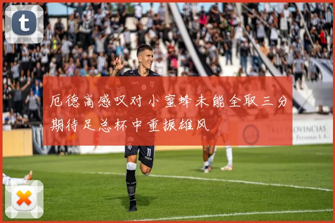 厄德高感叹对小蜜蜂未能全取三分期待足总杯中重振雄风