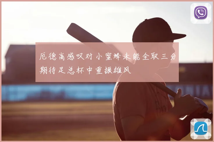 厄德高感叹对小蜜蜂未能全取三分期待足总杯中重振雄风