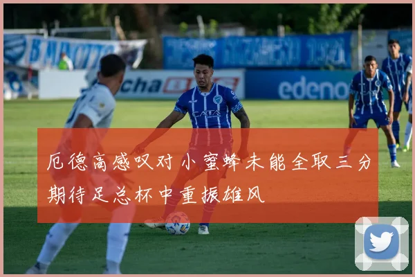 厄德高感叹对小蜜蜂未能全取三分期待足总杯中重振雄风