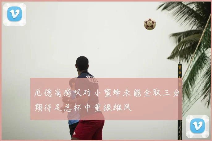 厄德高感叹对小蜜蜂未能全取三分期待足总杯中重振雄风