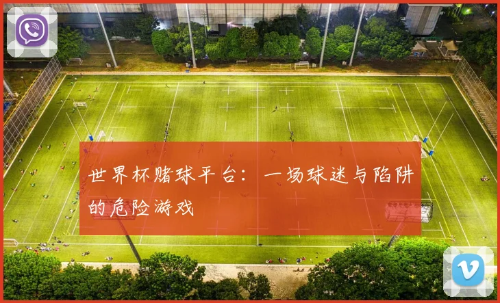 世界杯赌球平台：一场球迷与陷阱的危险游戏