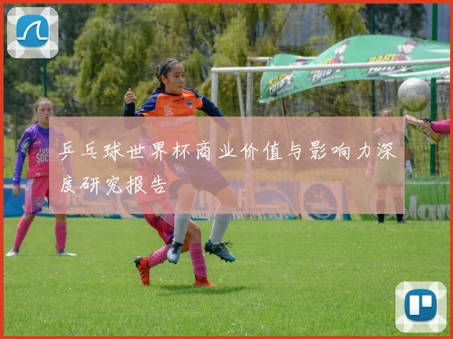 乒乓球世界杯商业价值与影响力深度研究报告