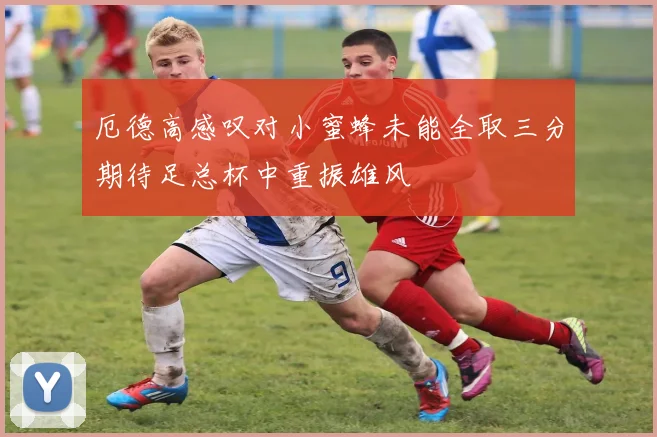 厄德高感叹对小蜜蜂未能全取三分期待足总杯中重振雄风