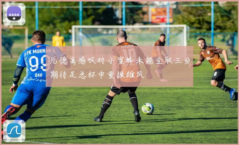 厄德高感叹对小蜜蜂未能全取三分期待足总杯中重振雄风