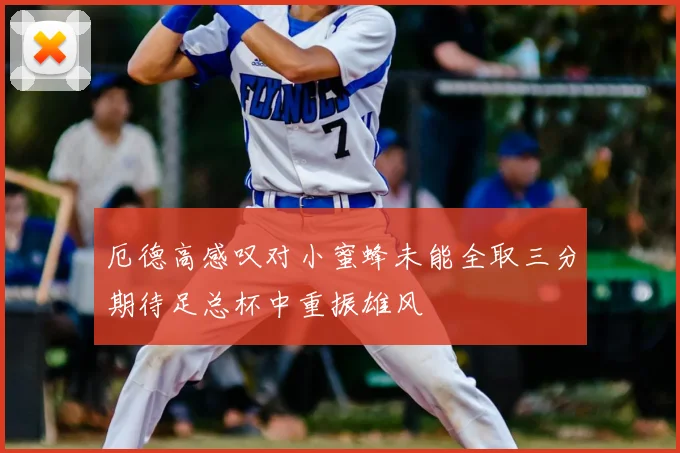 厄德高感叹对小蜜蜂未能全取三分期待足总杯中重振雄风