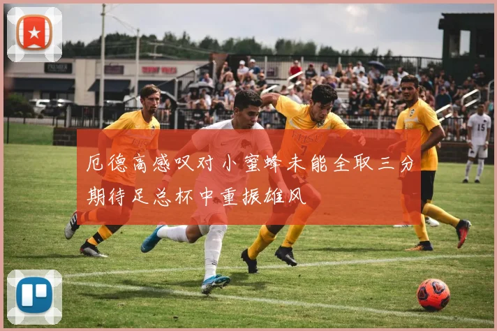 厄德高感叹对小蜜蜂未能全取三分期待足总杯中重振雄风