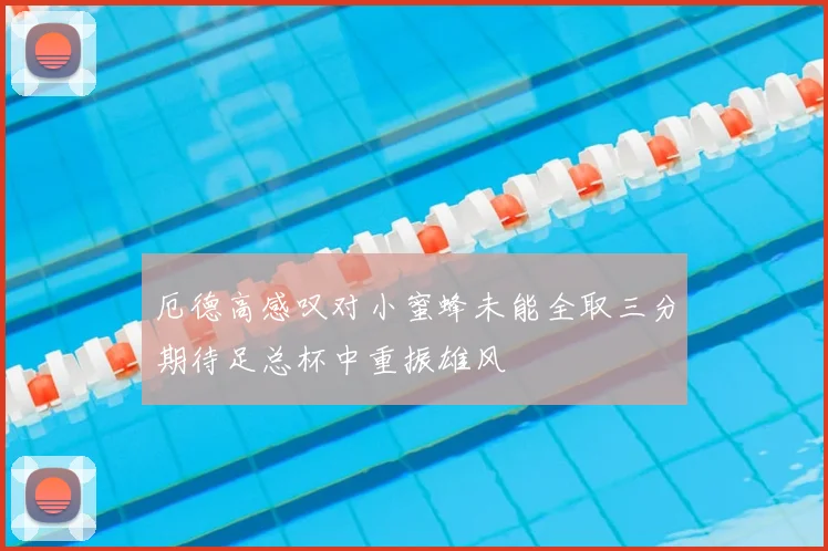厄德高感叹对小蜜蜂未能全取三分期待足总杯中重振雄风