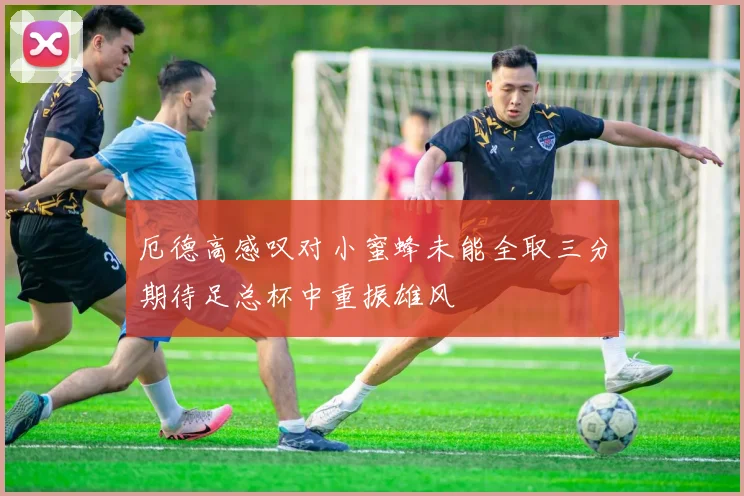 厄德高感叹对小蜜蜂未能全取三分期待足总杯中重振雄风