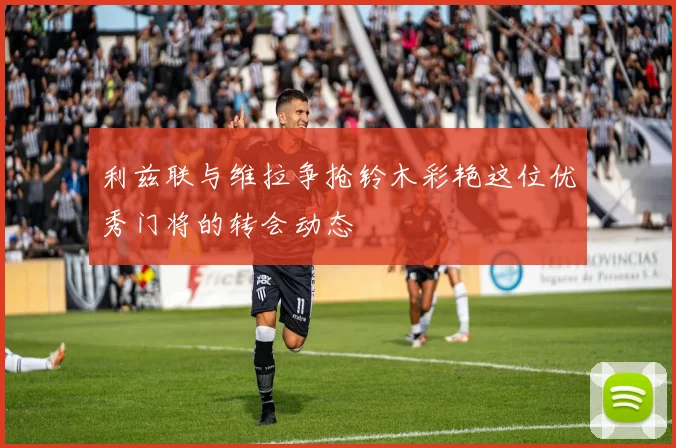 利兹联与维拉争抢铃木彩艳这位优秀门将的转会动态