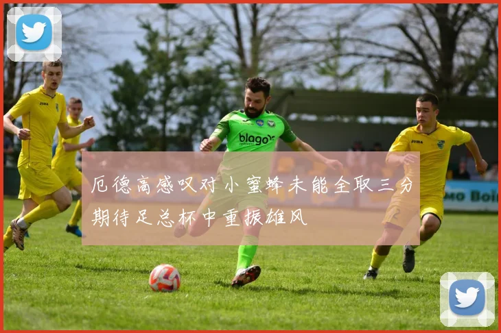 厄德高感叹对小蜜蜂未能全取三分期待足总杯中重振雄风