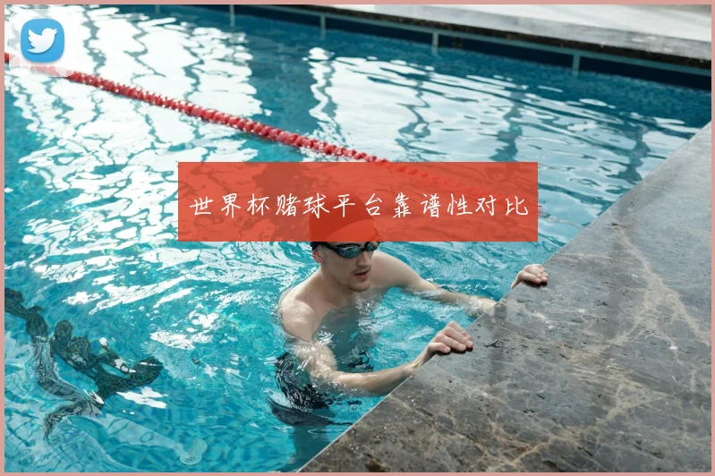 世界杯赌球平台靠谱性对比