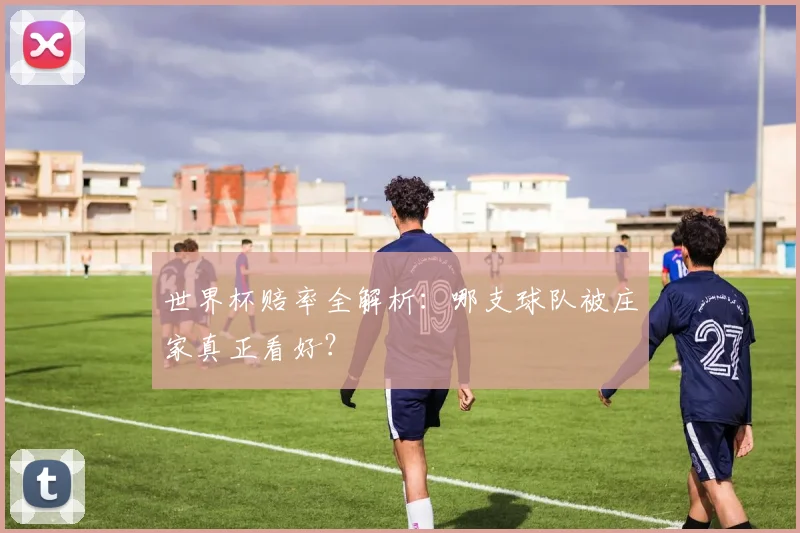 世界杯赔率全解析:哪支球队被庄家真正看好?