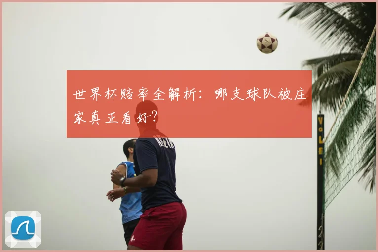 世界杯赔率全解析:哪支球队被庄家真正看好?