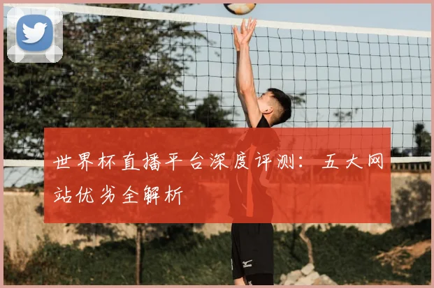 世界杯直播平台深度评测：五大网站优劣全解析