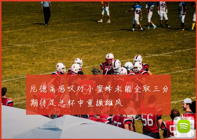 厄德高感叹对小蜜蜂未能全取三分期待足总杯中重振雄风