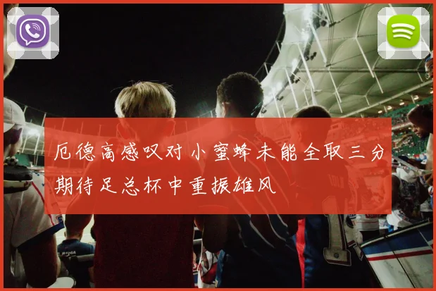 厄德高感叹对小蜜蜂未能全取三分期待足总杯中重振雄风