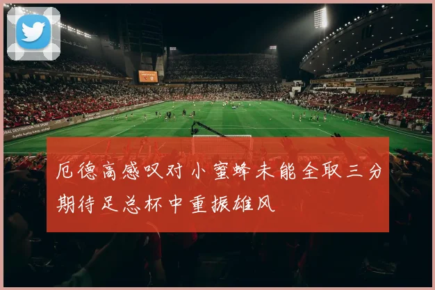 厄德高感叹对小蜜蜂未能全取三分期待足总杯中重振雄风